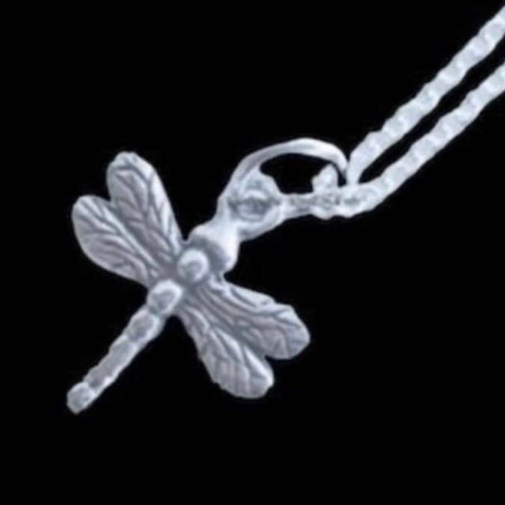 Beautifully Detailed Double Sided Dragonfly Pendant with 20 Inch Necklace in 925 Sterling Silver