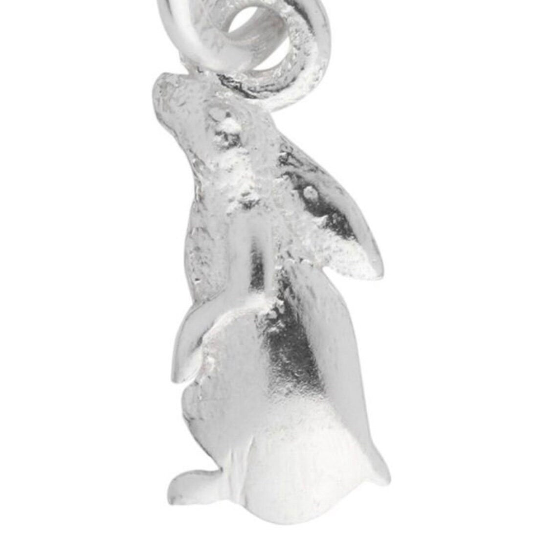 Star Gazing Double Sided 13mm Hare Charm Sterling Silver Pendant