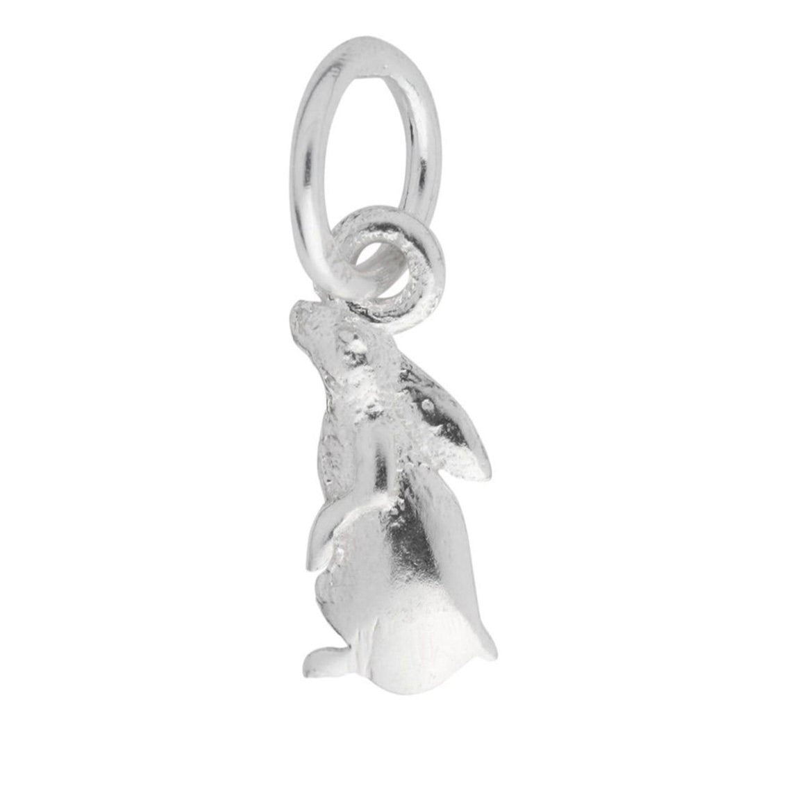 Star Gazing Double Sided 13mm Hare Charm Sterling Silver Pendant